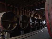 SAG modifica normativa que rige a la industria del vino 