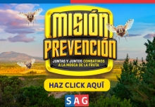SAG lanza campaña comunicacional para evitar el ingreso a Chile de la mosca de la fruta
