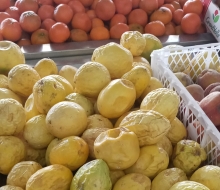 El SAG en La Araucanía descubre ingreso ilegal de vegetales y frutas a la región