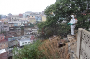 Campaña SAG Mosca de la Fruta Valparaíso