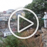 Campaña SAG Mosca de la Fruta Valparaíso