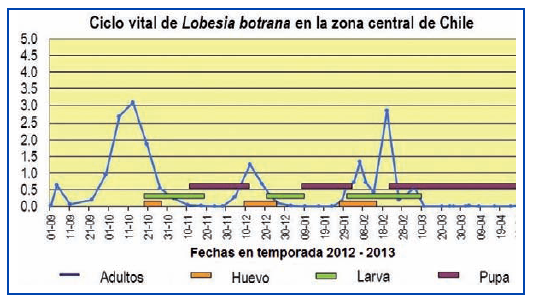 Ciclo de vida