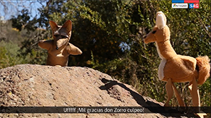 SAG Educa - Zorro culpeo y guanaco: Si cuidas a tu mascota, proteges la fauna silvestre