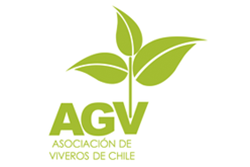 Semillas - Asociación de viveros de Chile