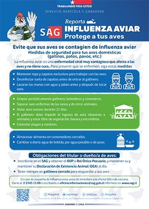 Afiche IA 2026