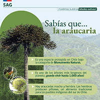 Bosques_4