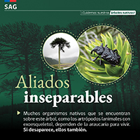 Bosques_5