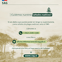 Bosques_6