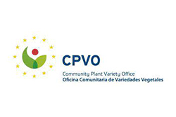 Semillas - CPVO