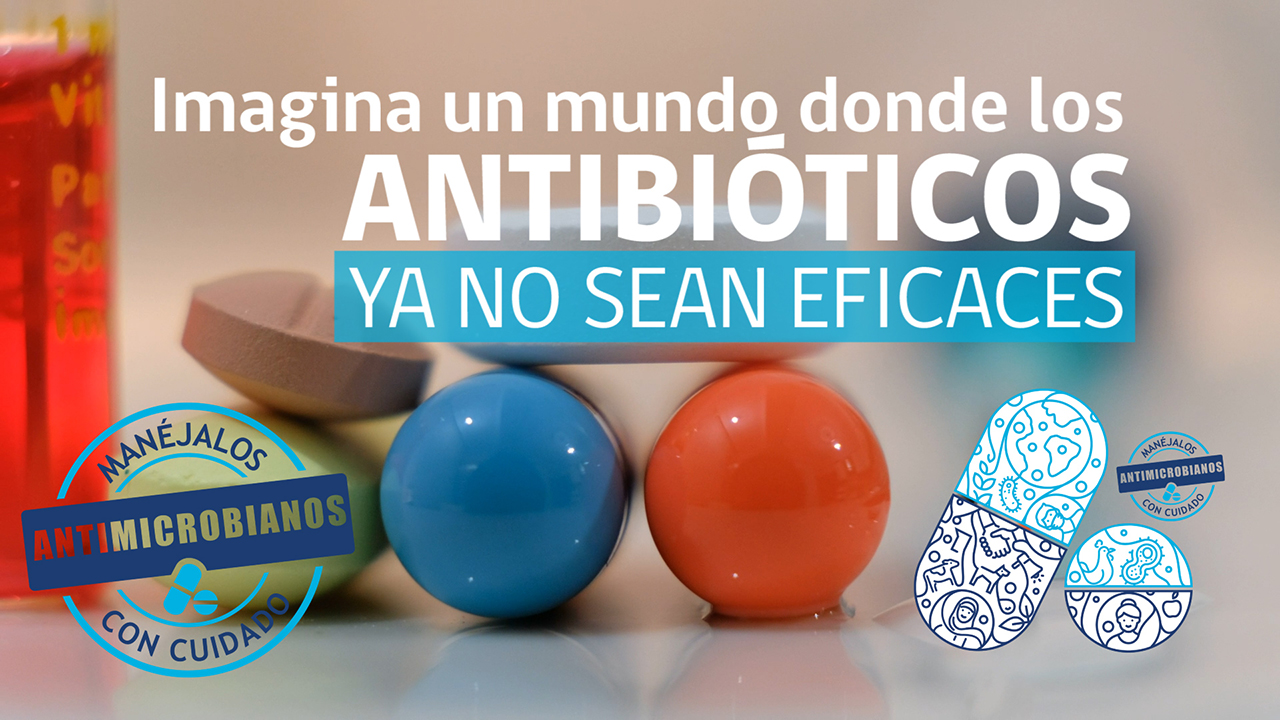 Portada video antimicrobianos