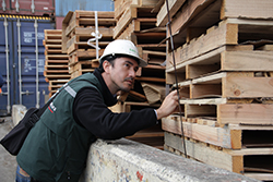 Forestal - Embalajes de madera de exportación