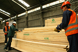 Forestal - Embalajes de madera de importación