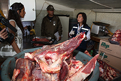 Pecuaria - Fiscalización de la Ley de Carne