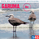 Garuma