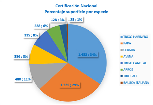 Grafico Certificación nacional