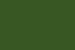 RN - Anillamiento de aves