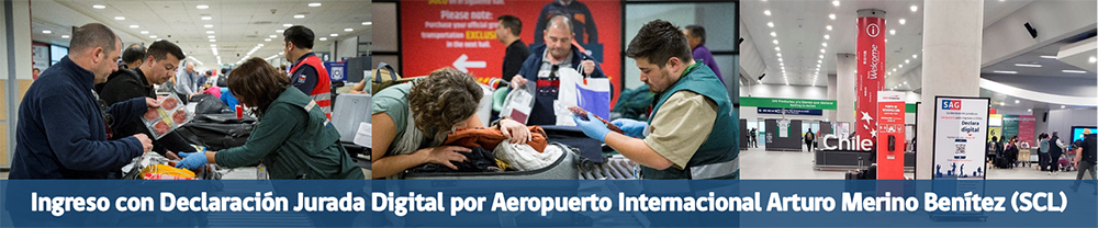Ingreso con Declaración Jurada Digital por Aeropuerto Internacional Arturo Merino Benítez (SCL)