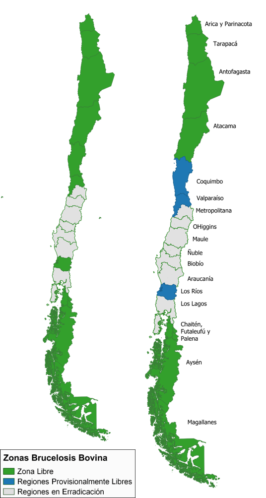 mapas brucelosis