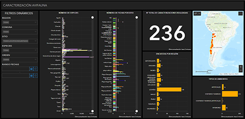 Power BI avifauna