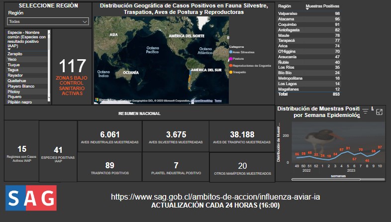 Power bi IA