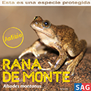 Rana del Monte