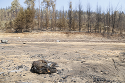 RN - Recomendaciones SAG ante emergencia por incendios forestales