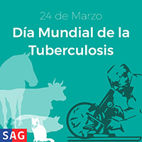 Dia mundial de la tuberculosis