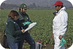 Agricola - Insumos y Productos Silvoagricolas