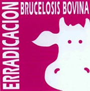 logo bb