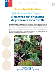 Agrícola - nematodo frutilla