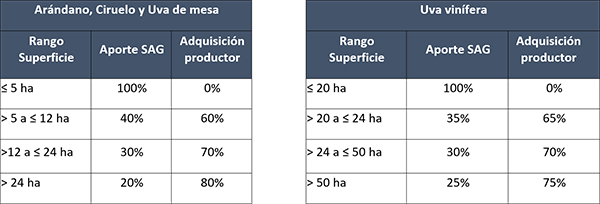 tabla nota Lobesia