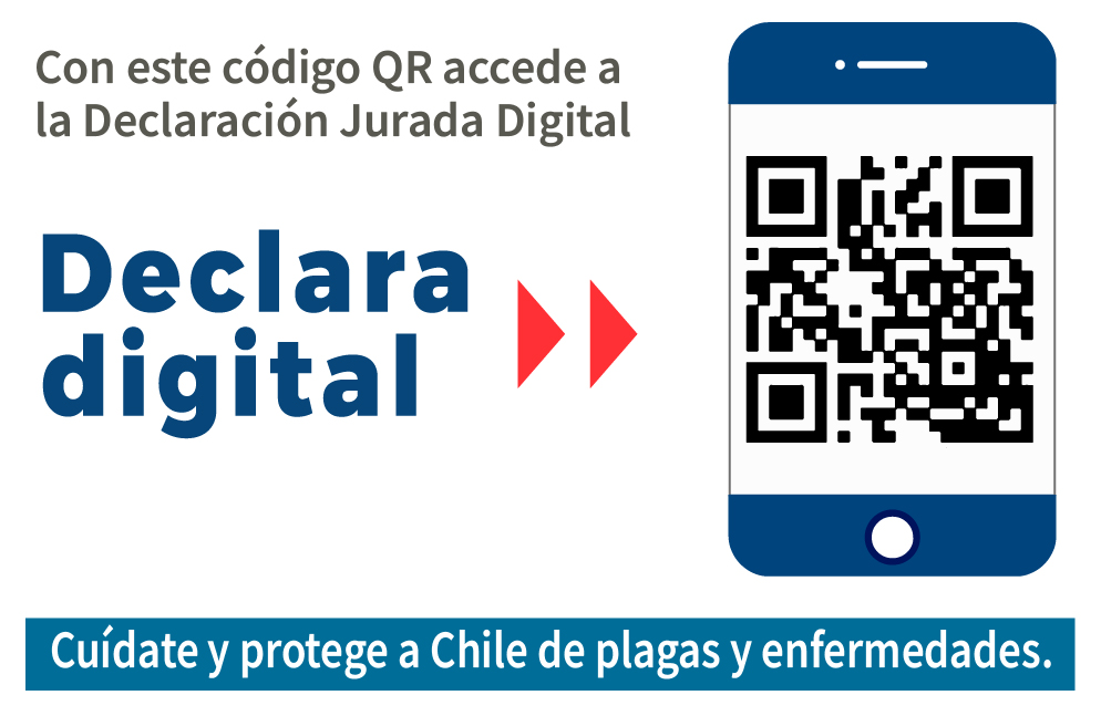 QR DJ Digital