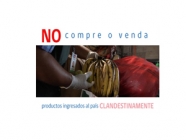 SAG Región de Tarapacá se encuentra en campaña de erradicación de mosca de la fruta