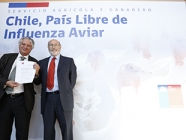 SAG declara a Chile Libre de Influenza Aviar