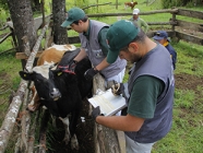 Convenio SAG/GORE benefició a más de 21mil Pequeños Productores de La Araucanía