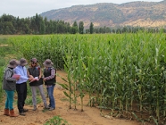 SAG y ANPROS firman acuerdo de cooperación para vigilancia fitosanitaria en la industria semillera