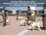 Graduación de los 5 Primeros canes donados por ChileCarne al SAG