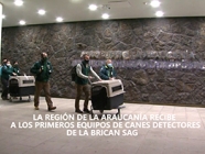 Primeros equipos de canes detectores SAG en La Araucanía