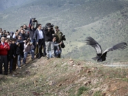 SAG liberó a Cóndores rescatados en los Andes