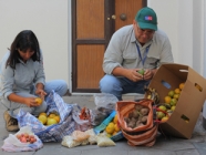 Plan de erradicación brote Mosca de la Fruta, SAG Región de Tarapacá