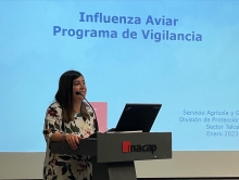 En Talca se realiza Taller sobre Influenza Aviar dirigido a productores/as avícolas