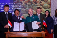 Chile e Indonesia firman protocolo fitosanitario para exportación de limones frescos