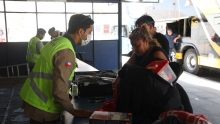 SAG prohíbe la salida de frutas frescas desde la región de Arica y Parinacota por campaña de mosca de la fruta