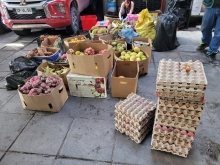 SAG retira más de 2 toneladas de productos agropecuarios de riesgo de las calles de Iquique