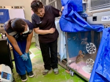 Ministra de Agricultura visita el Centro ANDES-UdeC para monitorear el estado de la fauna silvestre afectada por los incendios forestales