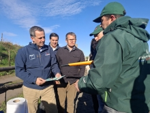 Ministerio de Agricultura realiza operativo a cerca de 150 caballos para prevenir la Anemia Infecciosa Equina en San Rosendo