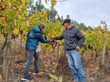 Ministerio de Agricultura anuncia incorporación de regiones y zonas vitivinícolas en el Catastro del SAG