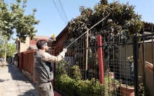 SAG Metropolitano Mosca de la Fruta Conchalí