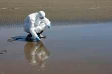 El Servicio Agrícola y Ganadero (SAG) informa que tras los análisis en sus laboratorios, confirmó la presencia de Influenza Aviar de alta patogenicidad de la variante H5N1, en un polluelo de gaviota dominicana encontrado en la zona costera de la ciudad de Ancud, región de Los Lagos, lo que da cuenta que el virus continúa desplazándose al sur del país en aves silvestres. Al respecto, la Delegada Presidencial regional Giovanna Moreira indicó que “con la confirmación del primer caso positivo de influenza avia