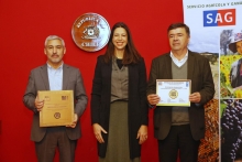 SAG avanza en equidad de género y recibe Sello de Oro para Instituciones Públicas otorgado por el PNUD